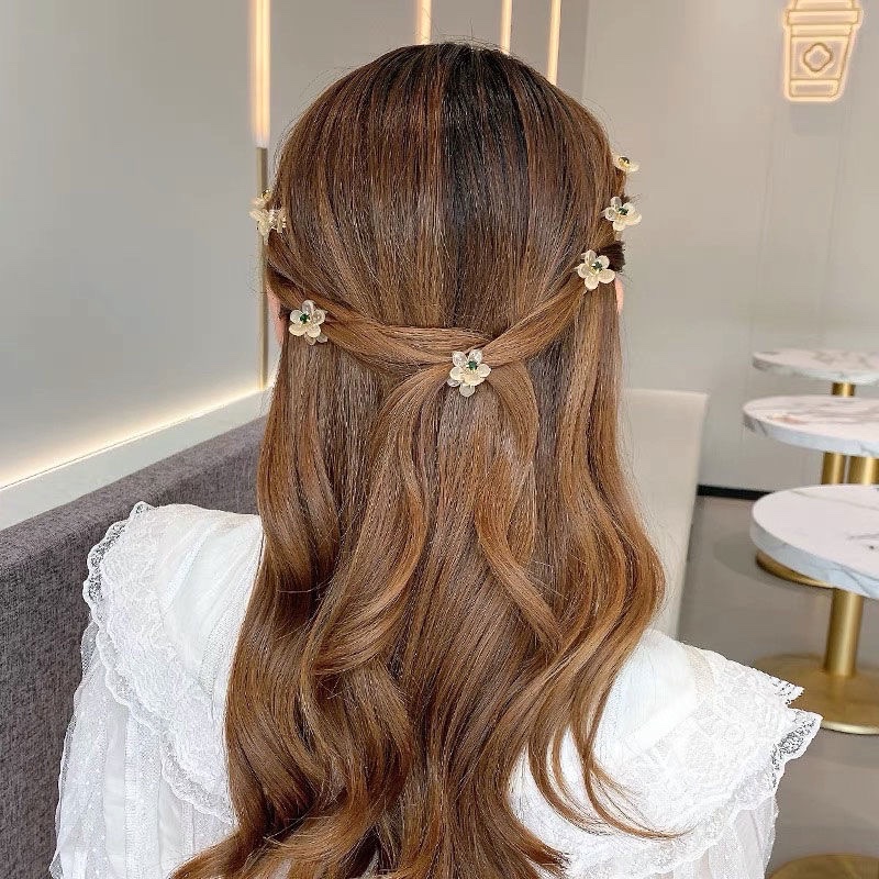 10pcs/set Korean Mini Hair Cli - Hair Claw Clip Set recension och pris
